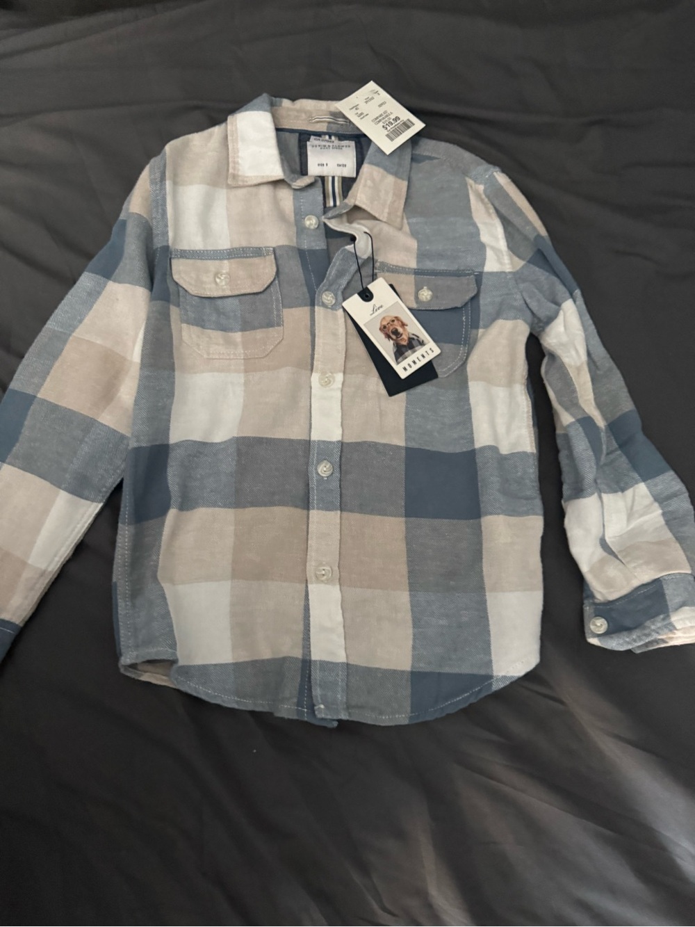 Denim & Flower Boys Plaid Button-Up Shirt - Blue, Beige & White